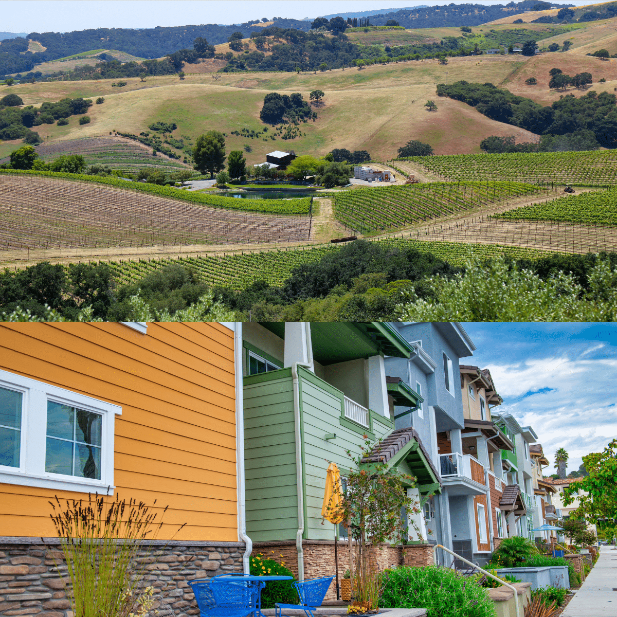Split image showing Paso Robles vineyards with rolling hills compared to colorful Arroyo Grande homes, highlighting the lifestyle differences between wine country and coastal living in San Luis Obispo County.