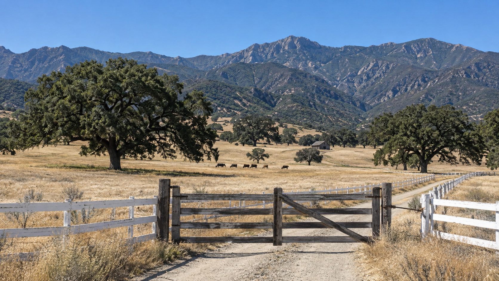 Open ranch land with valley oaks in North Santa Barbara County, where an abandoned well can block a new well permit