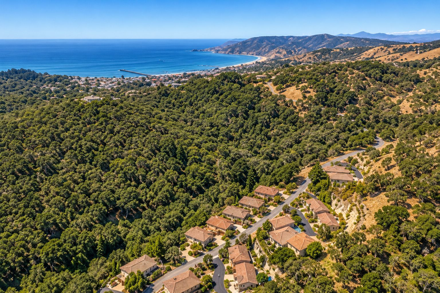 Aerial view of hillside homes in Avila Beach with the pier and ocean in the distance