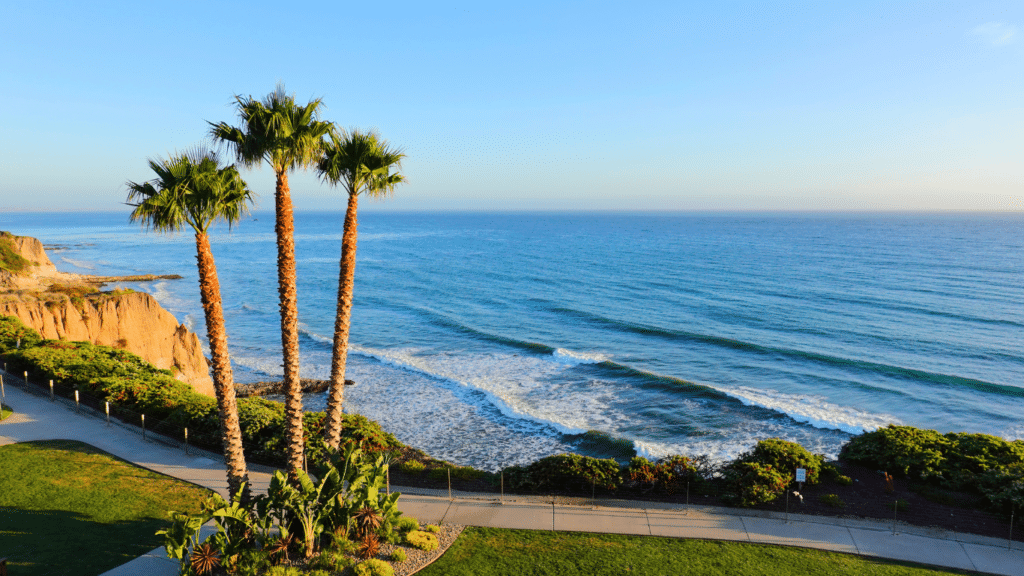Shell Beach view of the ocean grass and palm trees